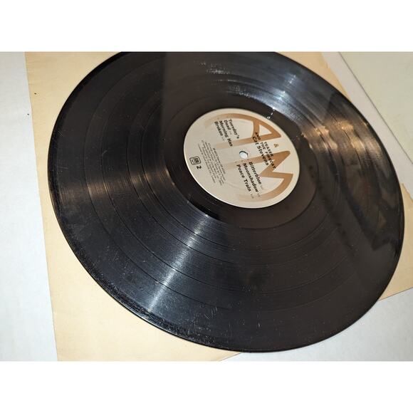 Vintge 1971 Cat Stevens Teaser & The Firecat Vinyl Record Original - Picture 4 of 11